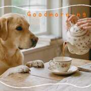 ヒメ日記 2026/04/29 09:03 投稿 浅野 HERMINE-エルミネ-