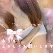 ヒメ日記 2026/05/11 11:43 投稿 浅野 HERMINE-エルミネ-