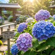 ヒメ日記 2026/05/24 09:41 投稿 浅野 HERMINE-エルミネ-