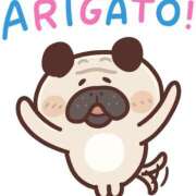 ヒメ日記 2025/11/19 16:43 投稿 まゆ 一力茶屋