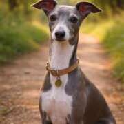 ヒメ日記 2025/12/20 07:33 投稿 まゆ 一力茶屋