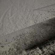 ヒメ日記 2026/02/08 08:03 投稿 まゆ 一力茶屋