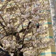 まゆ おはようございます✨ 一力茶屋