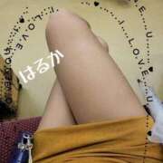 ヒメ日記 2025/08/09 01:57 投稿 はるか 人妻小旅行