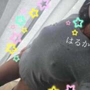 ヒメ日記 2025/10/13 10:27 投稿 はるか 人妻小旅行