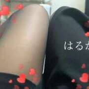 ヒメ日記 2025/12/17 10:07 投稿 はるか 人妻小旅行