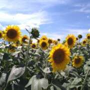 まり おしらせです 甲府人妻隊