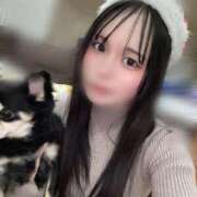 ヒメ日記 2025/12/26 07:59 投稿 るり 帯広黒い金魚