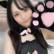 ヒメ日記 2026/02/13 16:59 投稿 るり 帯広黒い金魚