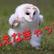 ヒメ日記 2025/07/23 20:03 投稿 ななせ AVANCE福岡