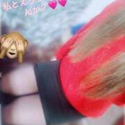 ヒメ日記 2025/07/20 13:29 投稿 あかり 大阪和泉ちゃんこ