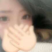 あかり かまってください? 大阪和泉ちゃんこ