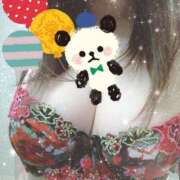 ヒメ日記 2025/08/15 10:52 投稿 ゆめか 池袋サンキュー