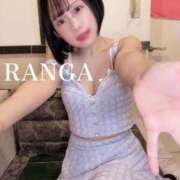 ヒメ日記 2025/11/16 06:42 投稿 らんが ジャパンクラブ富士