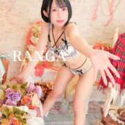 ヒメ日記 2026/02/18 07:42 投稿 らんが ジャパンクラブ富士