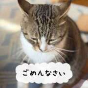 ヒメ日記 2025/08/11 11:37 投稿 めいか 大和人妻城