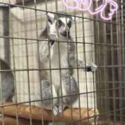 ヒメ日記 2025/08/13 12:06 投稿 めいか 大和人妻城