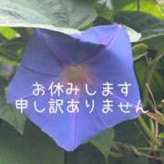ヒメ日記 2025/09/13 10:29 投稿 めいか 大和人妻城