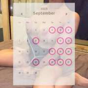 ヒメ日記 2025/08/31 12:10 投稿 カリナ いたずらバニーちゃん