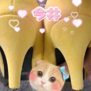 ヒメ日記 2025/07/24 12:42 投稿 今井(いまい) Ageha（あげは）