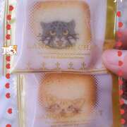 ヒメ日記 2025/10/10 15:20 投稿 今井(いまい) Ageha（あげは）