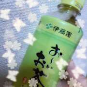 ヒメ日記 2025/12/09 10:17 投稿 今井(いまい) Ageha（あげは）