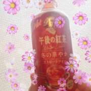 ヒメ日記 2025/12/11 09:07 投稿 今井(いまい) Ageha（あげは）