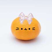 ヒメ日記 2026/01/28 09:42 投稿 今井(いまい) Ageha（あげは）