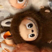 ヒメ日記 2025/12/27 22:12 投稿 渚 メンズボディSPA 小山