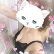 ヒメ日記 2025/08/22 07:35 投稿 ゆうき トマトなび