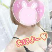 ヒメ日記 2025/08/29 07:58 投稿 ゆうき トマトなび