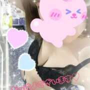 ヒメ日記 2025/09/09 08:56 投稿 ゆうき トマトなび