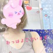 ヒメ日記 2025/09/14 06:55 投稿 ゆうき トマトなび