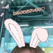 ヒメ日記 2025/10/05 07:13 投稿 ゆうき トマトなび