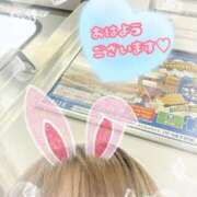 ヒメ日記 2025/10/10 07:03 投稿 ゆうき トマトなび