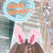 ヒメ日記 2025/10/12 07:18 投稿 ゆうき トマトなび