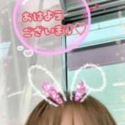 ヒメ日記 2025/10/22 07:09 投稿 ゆうき トマトなび