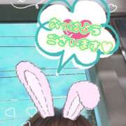 ヒメ日記 2025/10/23 07:11 投稿 ゆうき トマトなび