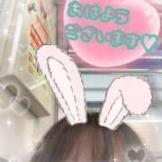 ヒメ日記 2025/11/01 12:22 投稿 ゆうき トマトなび