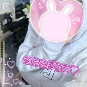 ヒメ日記 2025/12/22 10:44 投稿 ゆうき トマトなび