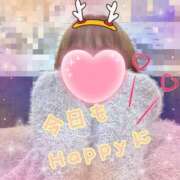 ヒメ日記 2025/12/24 07:31 投稿 ゆうき トマトなび