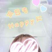 ヒメ日記 2025/12/27 07:58 投稿 ゆうき トマトなび