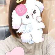 ヒメ日記 2026/03/18 18:44 投稿 ゆうき トマトなび