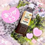 ヒメ日記 2026/03/20 10:51 投稿 ゆうき トマトなび