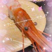 ヒメ日記 2026/03/22 00:34 投稿 ゆうき トマトなび