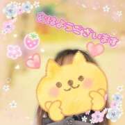 ヒメ日記 2026/03/22 08:00 投稿 ゆうき トマトなび