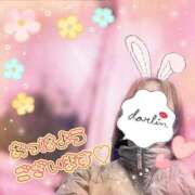 ヒメ日記 2026/04/06 07:34 投稿 ゆうき トマトなび