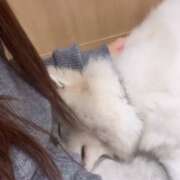 ヒメ日記 2025/11/18 23:31 投稿 えれん【清楚系ギャル】 STELLA TOKYO－ステラトウキョウ－