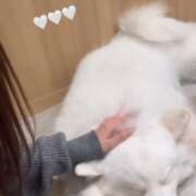 ヒメ日記 2026/01/21 14:09 投稿 えれん【清楚系ギャル】 STELLA TOKYO－ステラトウキョウ－