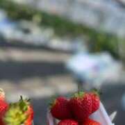 ヒメ日記 2026/03/25 20:48 投稿 えれん【清楚系ギャル】 STELLA TOKYO－ステラトウキョウ－